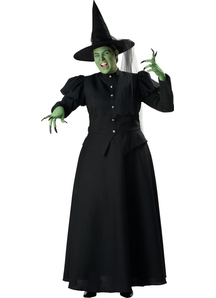 Evil Witch Plus Costume