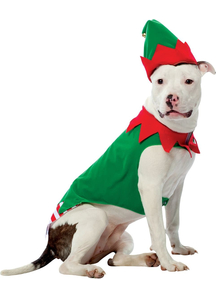 Large Dog Elf Costume