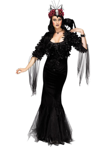 Raven Mistress Adult Costume