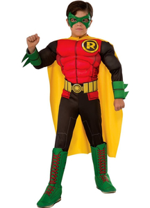 Robin 3D Costume For Children
