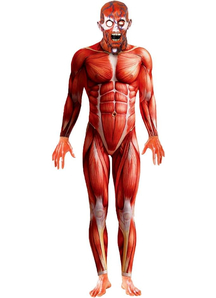Anatomy Man Adult Costume