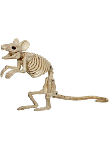 Mouse Standing Skeleton