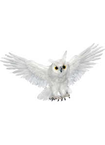 Owl White 28 Inches