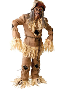 Scarecrow Halloween Adult Costume