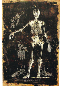 Skeleton Canvas Frame