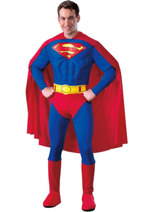 Superman Muscle Adult Costume