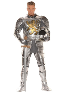 Metallic Knight Adult Costume
