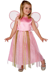 Pretty Fairy Toddler Costume