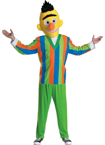 Sesame Street  Bert Adult Costume