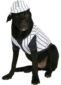 Baseball Player Dog Costume