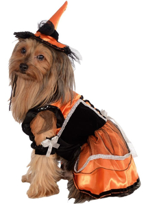 Orange Witch Pet Costume