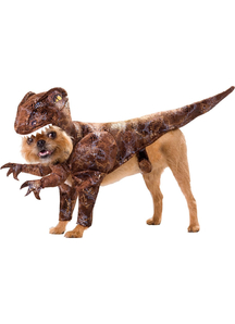 Raptor Pet Costume