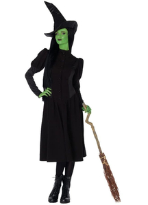 Broadway Witch Adult Costume