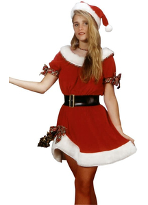 Miss Santa Claus Adult Costume