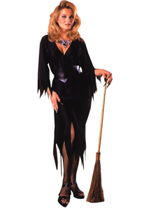Miss Witch Adult Costume