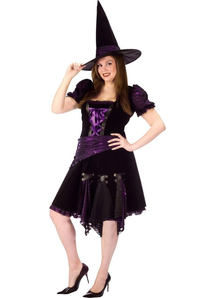 Purple Witch Adult Plus Size Costume