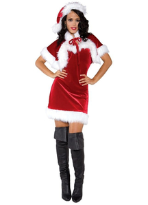 Santa Claus Female Adult Costume