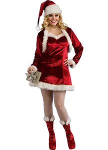 Santa Woman Adult Costume