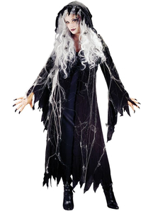 Spider Witch Adult Costume