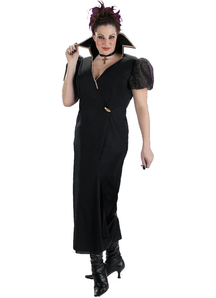 Transylvania Witch Adult Costume