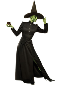 Witch Classic Adult Costume