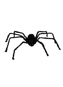 50 Inch Hairy Spider