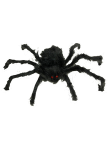 Black Furry Spider