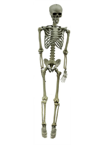 Hooked Skeleton