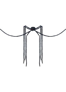 Long Legged Black Spider