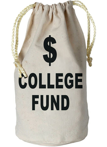 Money Bag. Graduation Decorations.
