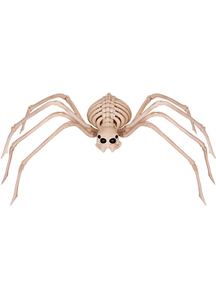 Moveable Spider Form Skeleton.