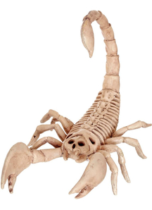 Scorion Form Skeleton