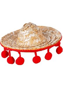 Sombrero. Fiesta Decorations.