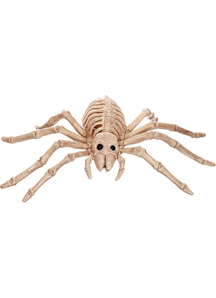 Spider Form Skeleton