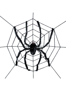 Spider On A Web