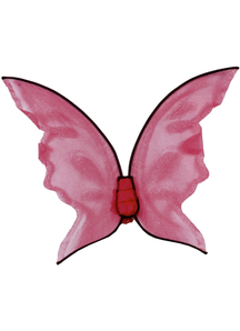 Wings Butterfly Pk Hot Color
