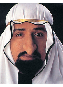 Sheik Fagin Nose