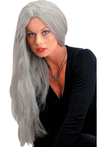 24 Inch Straight Grey Wig For Women