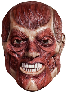 Skinner Mask For Halloween