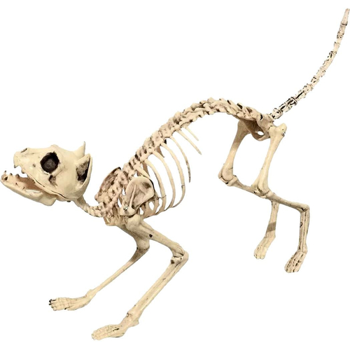 Skeleton Cat Props
