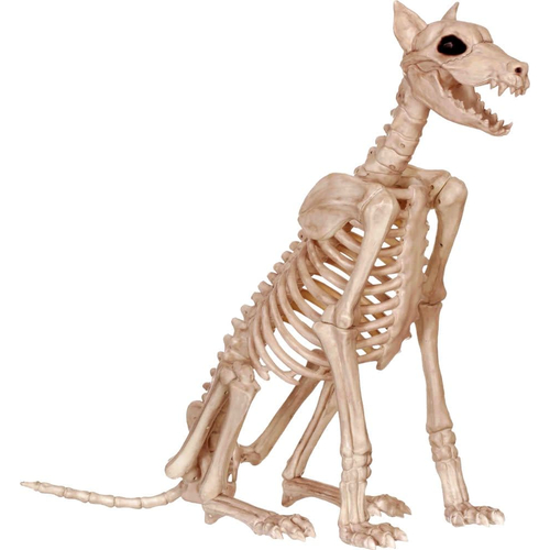 Skeleton Doberman Props