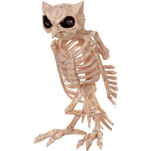 Skeleton Owl Props