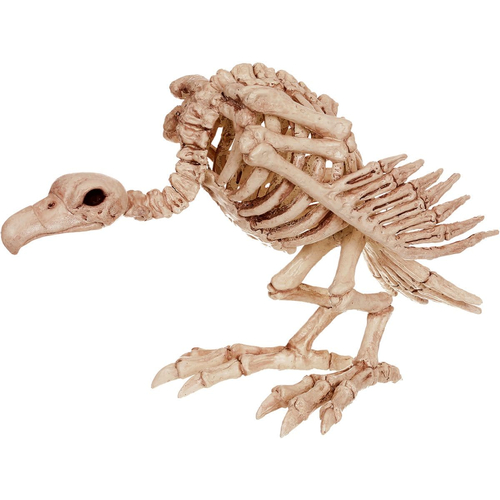Skeleton Vulture Props