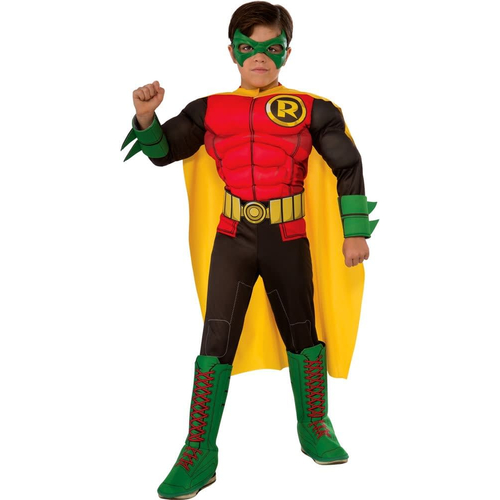 Robin 3D Costume For Children