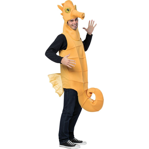 Seahorse Adult Costume