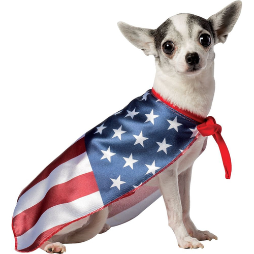 USA Flag Dog Costume 2