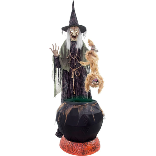 Animated Cat with Witch Prop
