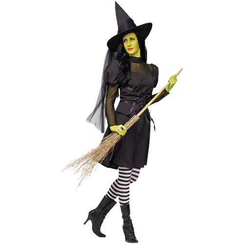 Evil Witch Adult Costume - 22083