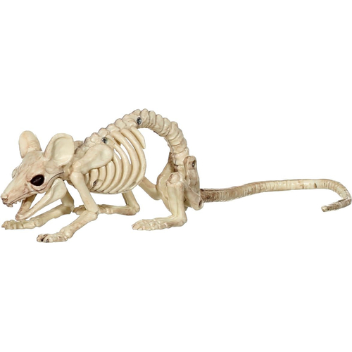 Mouse Crawling Skeleton