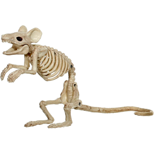 Mouse Standing Skeleton